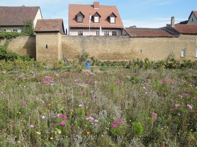 Grabengärten 2012