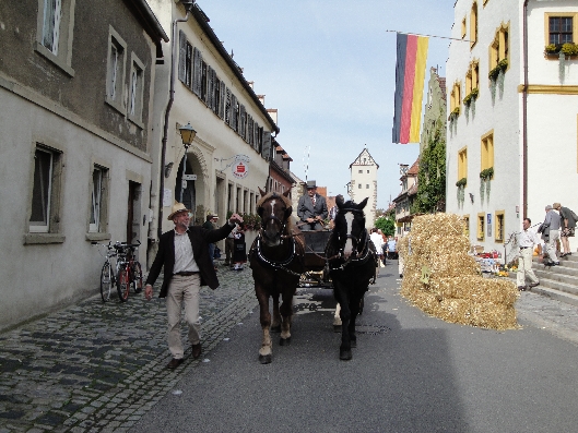 Echt Berna 2010